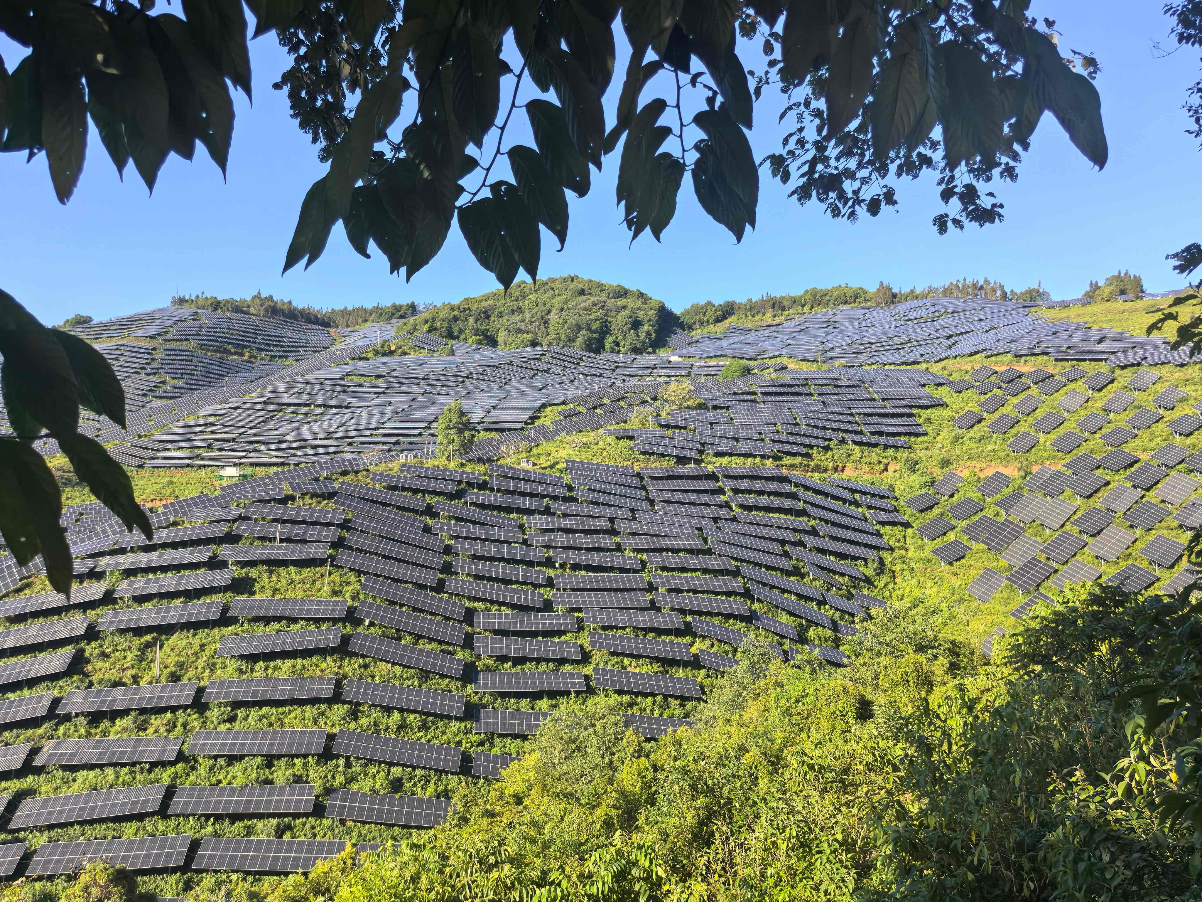 镇康县360MW复合农业光伏项目